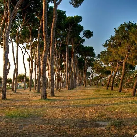 Venere 1 - Пинето