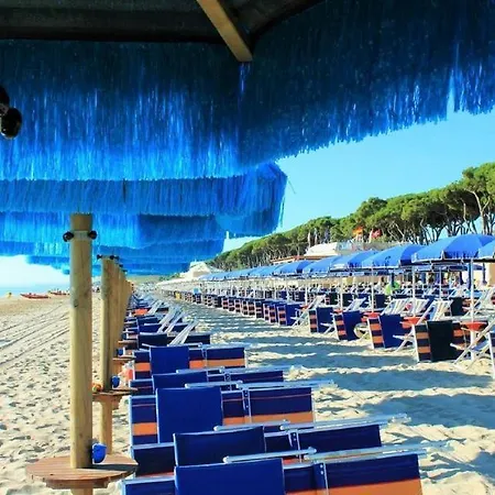 Venere 1 - Пинето