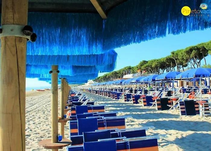 Venere 1 - ピネート